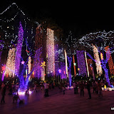 ayala triangle christmas (41).JPG