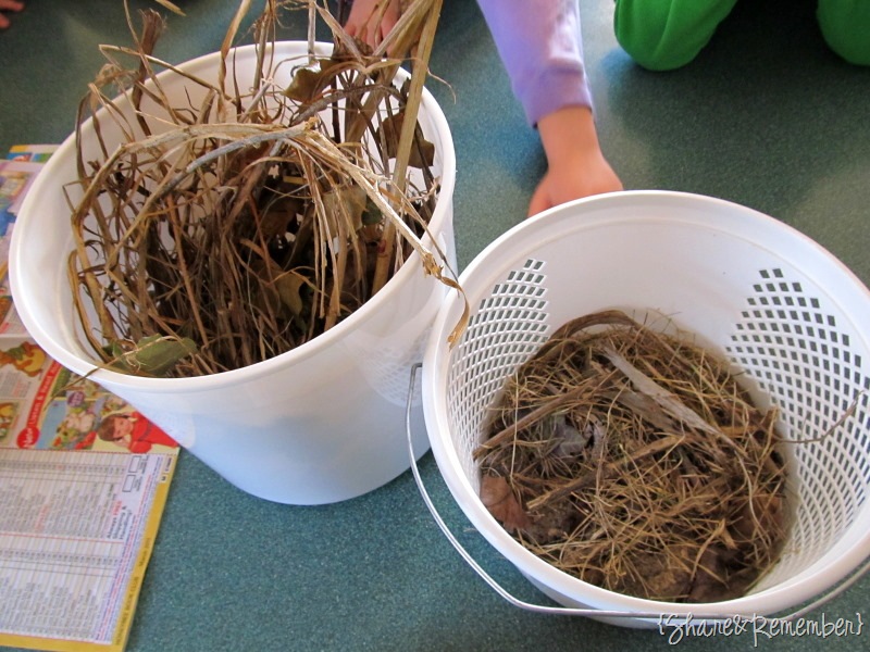 [nest materials[3].jpg]