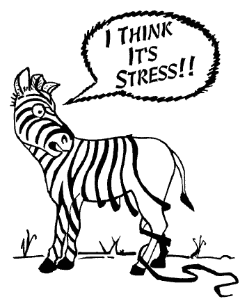 [Stress-ZebraStripes[4].gif]