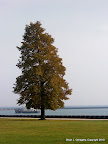 CIMG4785.JPG