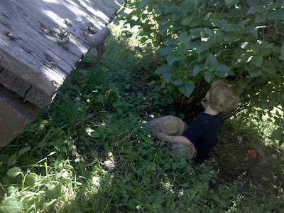 2010-07-15 13.26.44.jpg