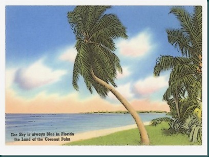 Palm-Trees-Fla Palm-Trees-Fla