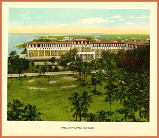 [RoyalPalm8.jpg]