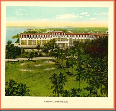Royal Palm Royal Palm