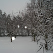 dsc07574.jpg