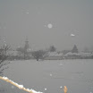 dsc07580.jpg