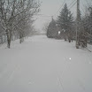 dsc07587.jpg