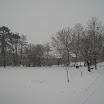 dsc07610.jpg