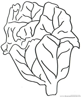 cenilechuga cenilechuga