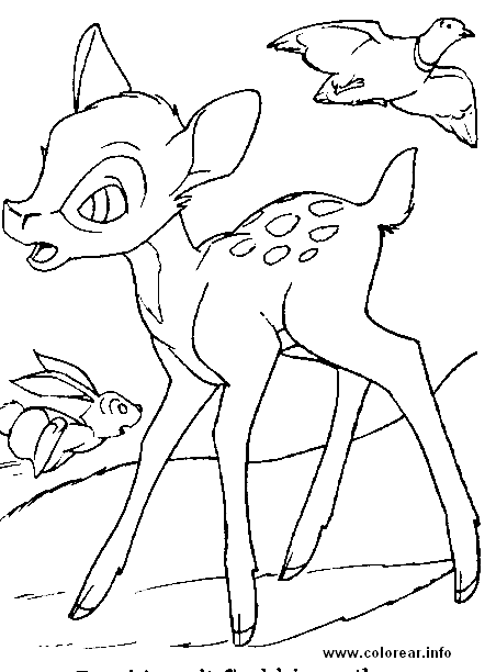 [bambi-pajaro-conejo[2].gif]