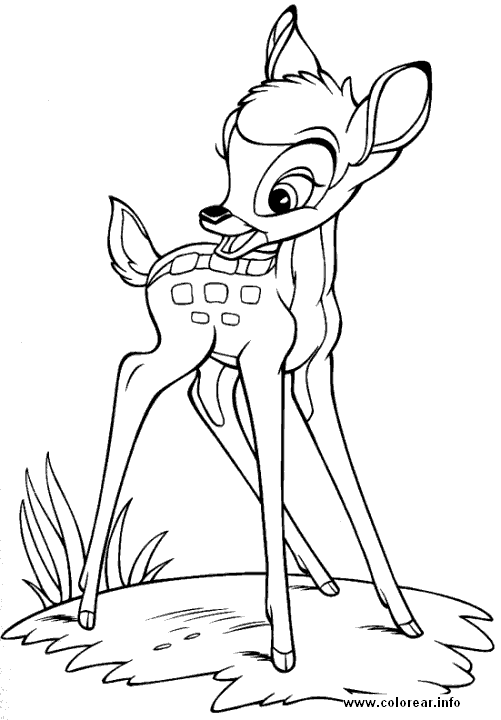 [bambi-solo[2].gif]