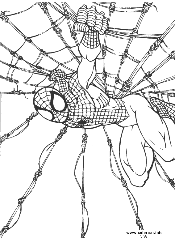 [Spiderman-blogcolorear-com 01 (60)[2].gif]