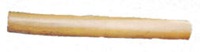 caracol de caña_PNC_Realejos caracol de caña_PNC_Realejos