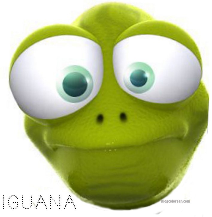 [máscara iguana 2 1[2].jpg]