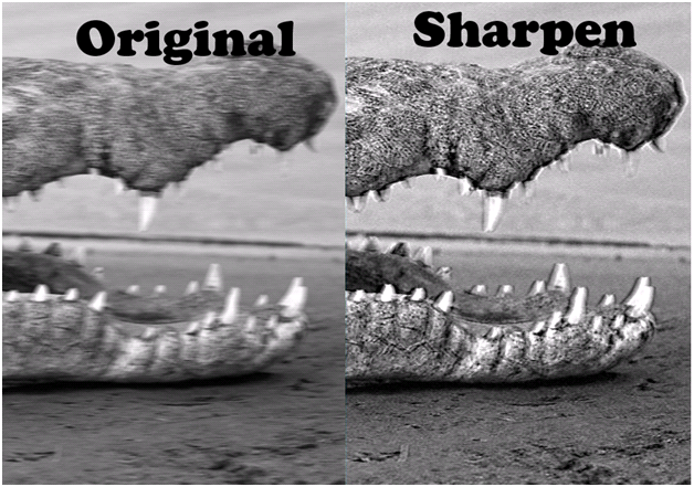 Before And After Motion