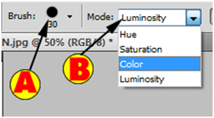 Brush and Mode Options