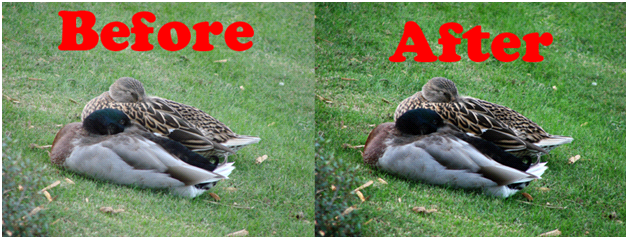 Brightness Before And After
