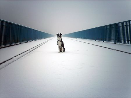 lonesome_cowboy_450.jpg