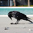 DSC_0159.JPG