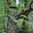 DSC_0354.jpg DSC_0354.jpg