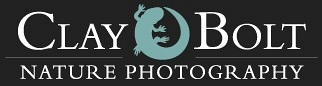 Clay Bolt Nature Photography