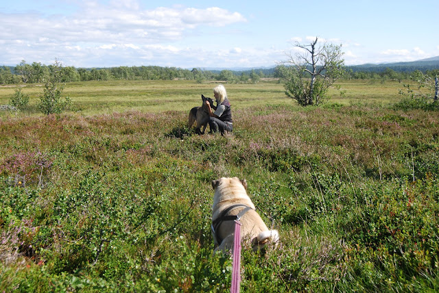 Sommar 2010 Sommar 2010