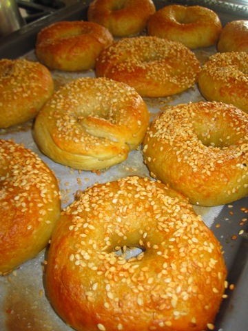 [bagels1724.jpg]