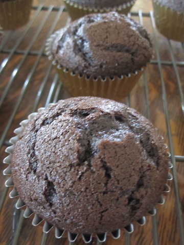 [cupcakes1463.jpg]