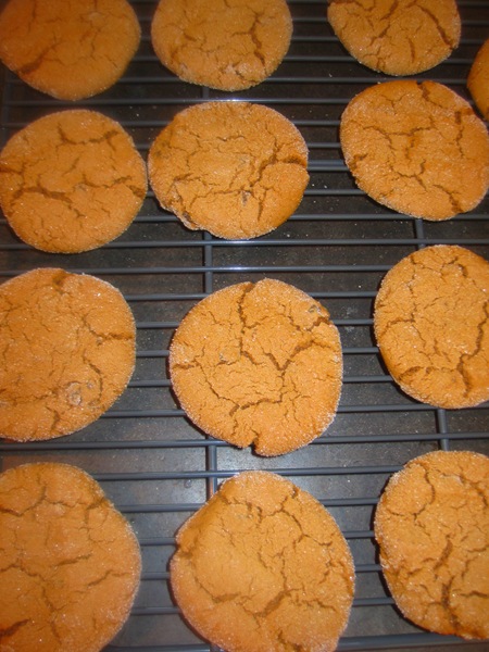 [ginger cookies truffles 022[12].jpg]