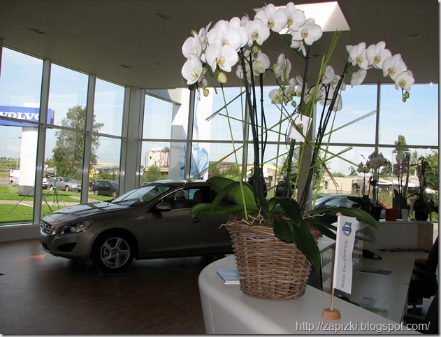 Презентация Volvo S60 Презентация Volvo S60