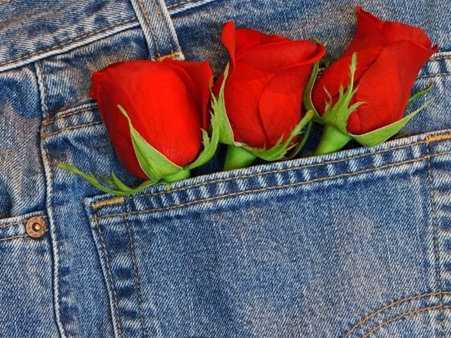 [3rosas[3].jpg]