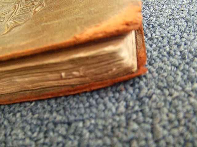 [2009_06290070[2].jpg]
