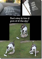 11 Lose Page6