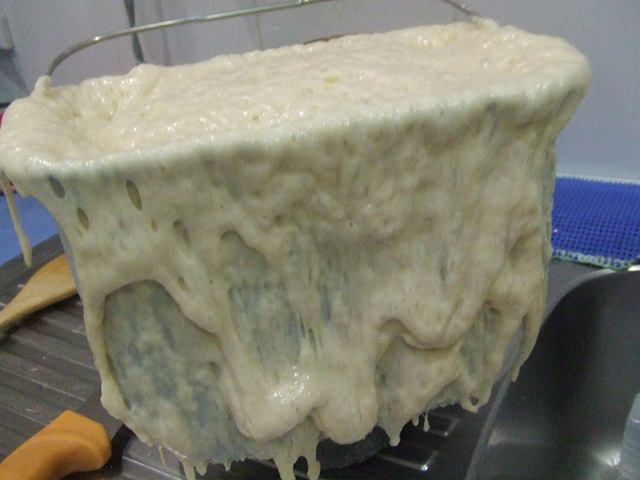 [2009_12260179[2].jpg]