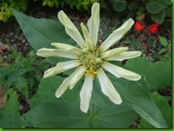 2010_05060033