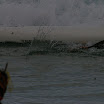 Lorne Camp 2010