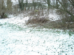 DSC04845.JPG