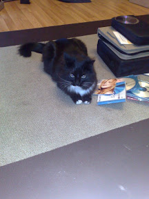 11012008038.jpg