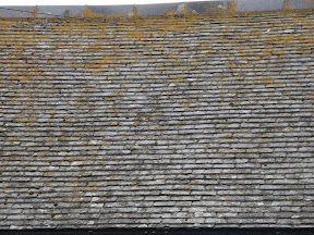 Reapeating shingles