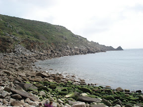DSC01104.JPG