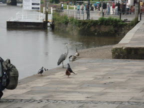 DSC02598.JPG