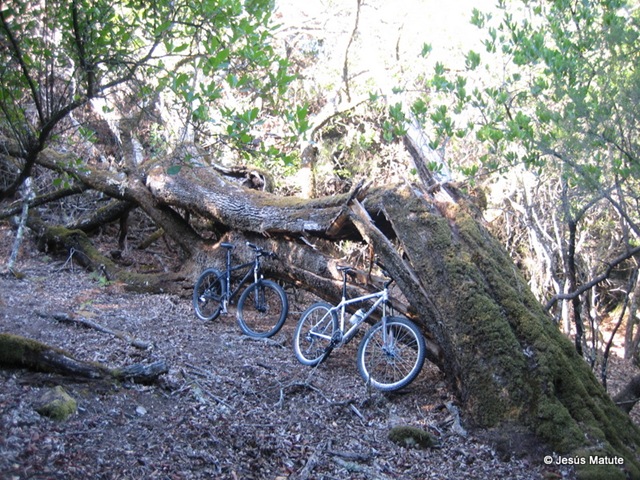 [mtbfuentedelosarrieros0143.jpg]