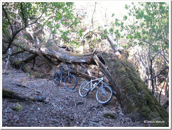 mtb - fuente de los arrieros 014