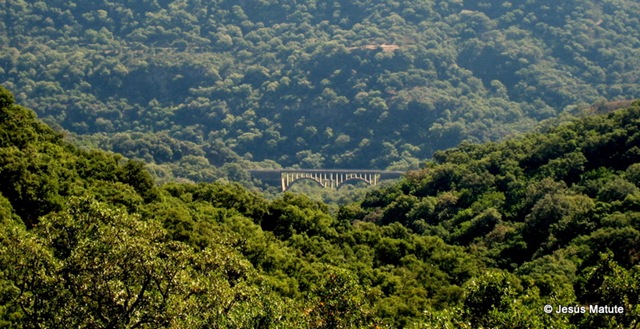 [mtbfuentedelosarrieros0323.jpg]