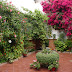 Los Patios de Córdoba