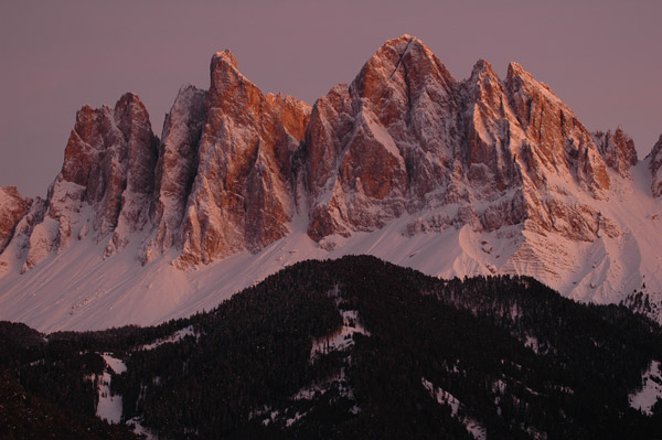 DSC_1098.jpg DSC_1098.jpg