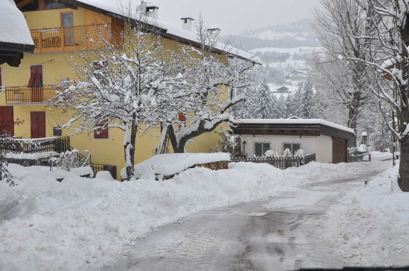 DSC_7274.jpg DSC_7274.jpg