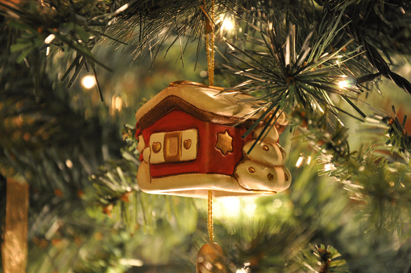 DSC_7954.jpg DSC_7954.jpg