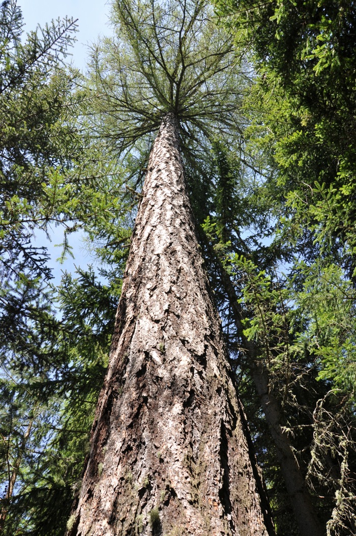 DSC_5098.jpg DSC_5098.jpg