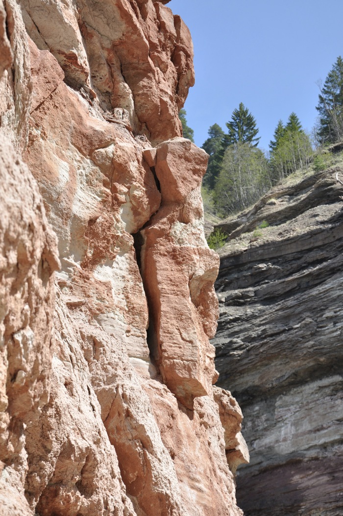 DSC_5042.jpg DSC_5042.jpg